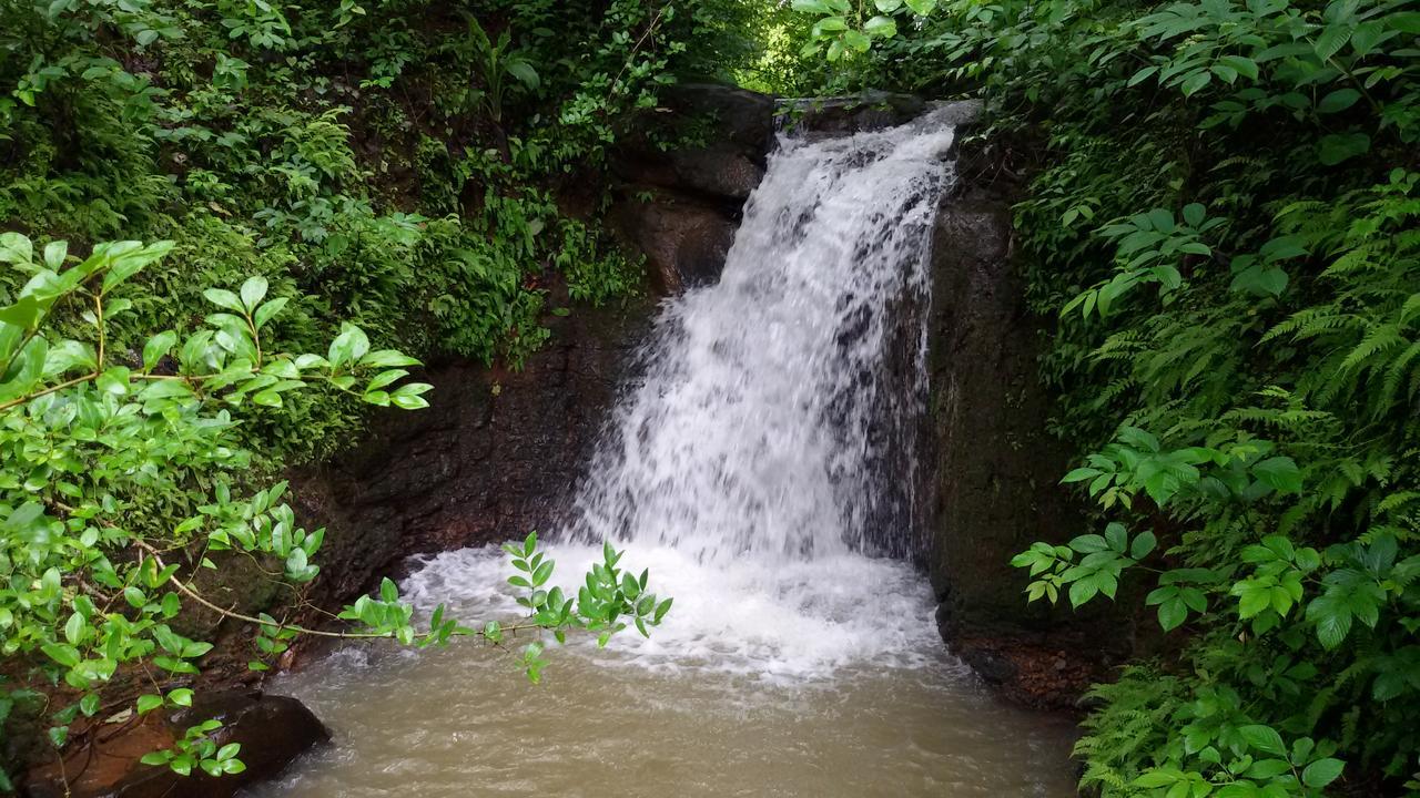Cherilyn Monta Resort - Ratnagiri Vatul Экстерьер фото