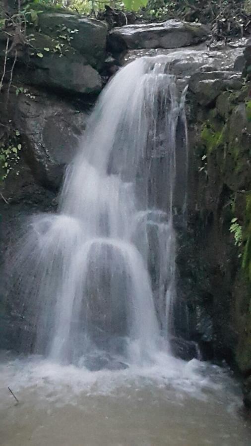Cherilyn Monta Resort - Ratnagiri Vatul Экстерьер фото